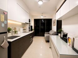 Sims Urban Oasis (D14), Condominium #574748661